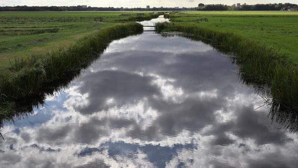 wandelplezier natuurbeleving