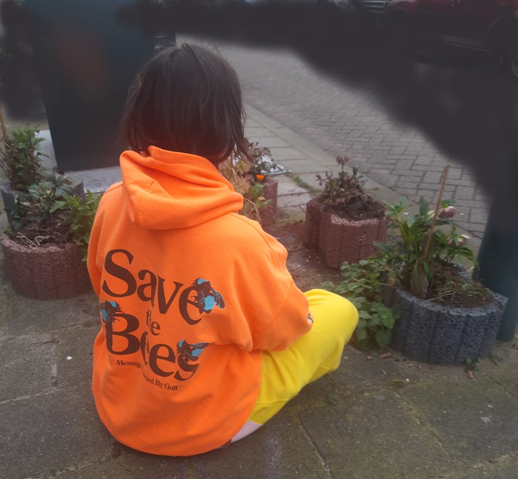"Save the bees" duurzaamheid psychologie klimaat gedrag visie invloed motivatie hoop nudging communicatie voorbeeld reputatie normen stappen verandering