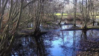 wandelcoach vroege lente